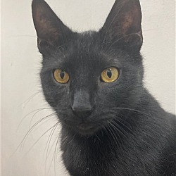 Photo of Huey