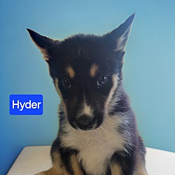 Photo of Hyder
