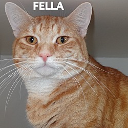 Thumbnail photo of Fella #1