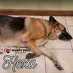 Thumbnail photo of Hexa (Courtesy Post) #3