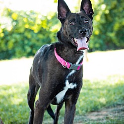 Photo of Cindy Lou
