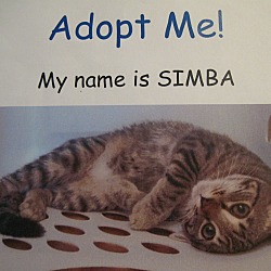 Thumbnail photo of SIMBA #2