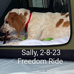 Thumbnail photo of Sally #3