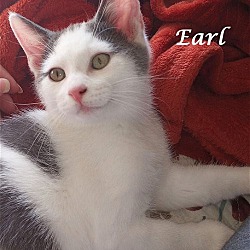 Thumbnail photo of EARL #2