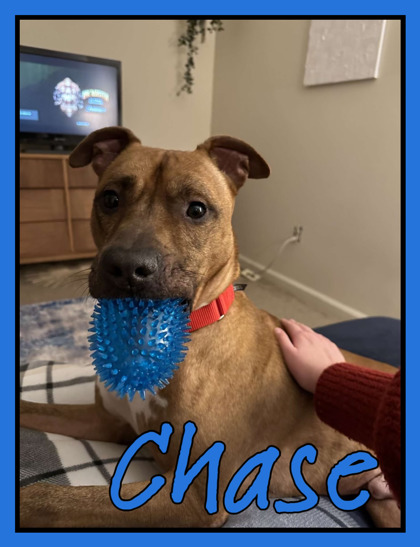 Thumbnail photo of Chase #3