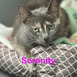 Photo of SERENITY