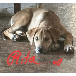 Thumbnail photo of Rita #1