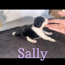 Thumbnail photo of Sally #1