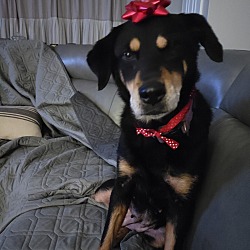 Photo of Daisy Mae
