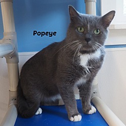 Photo of Popeye