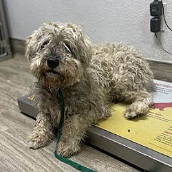 Photo of Bingo