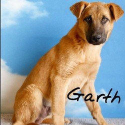 Thumbnail photo of Garth #4