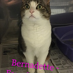 Photo of Bernadette