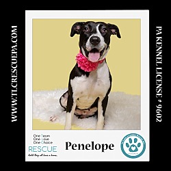 Thumbnail photo of Penelope 080324 #2