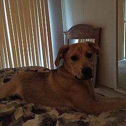 Photo of Roko