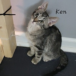 Photo of Ken, Allen, Midge