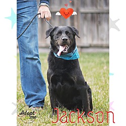 Thumbnail photo of Jackson #2