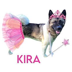 Thumbnail photo of Kira #4