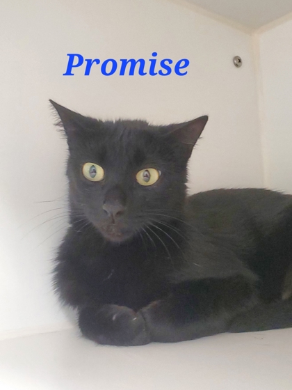 Photo of Promise