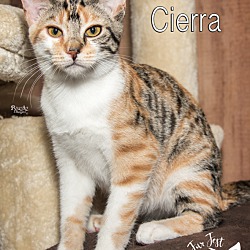 Photo of Cierra