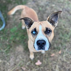 Photo of Raylan
