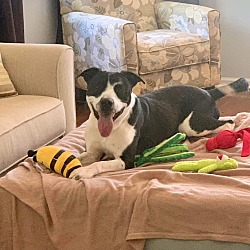 Photo of Jinx