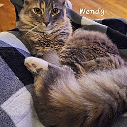 Thumbnail photo of Wendy-(glenna) #4