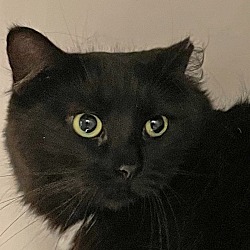 Photo of Clarissa