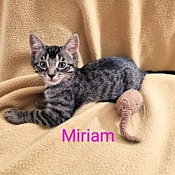 Thumbnail photo of Miriam #1