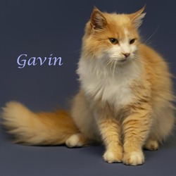 Photo of Gavin (C24-135)