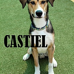 Photo of Castiel