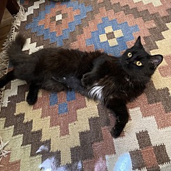 Photo of Kiki and Ursula *COURTESY POSTING*