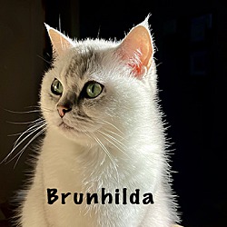 Photo of Brunhilda