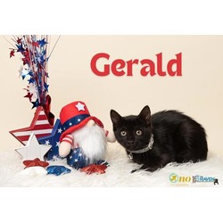 Photo of Gerald