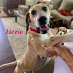 Thumbnail photo of LIZZIE #4