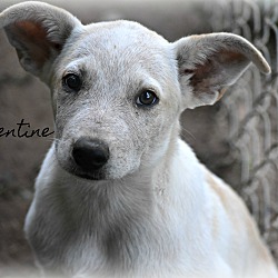 Thumbnail photo of Clementine ~ meet me! #1