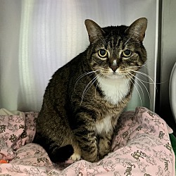 Ontario SPCA Midland District Animal Centre in Port McNicoll ON