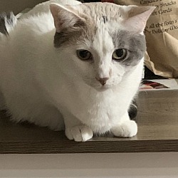 Photo of Ash