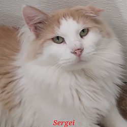 Photo of Sergi