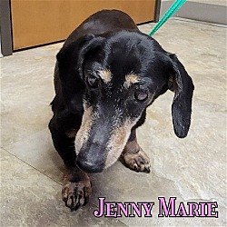 Thumbnail photo of Jenny Marie #4