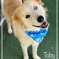 Thumbnail photo of TOBY #2