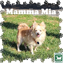 Thumbnail photo of Mamma Mia #2