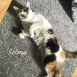 Thumbnail photo of SELMA #3