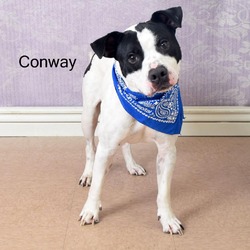 Photo of Conway