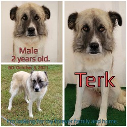 Thumbnail photo of Terk #3