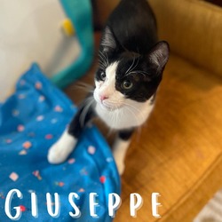 Photo of Giuseppe