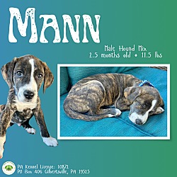 Thumbnail photo of Mann #1