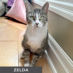 Thumbnail photo of Zelda #3