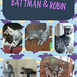 Photo of Batman and Robin
