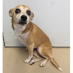 Photo of TIPPY